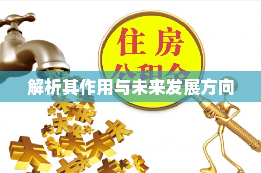 铜山解析其作用与未来发展方向